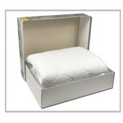 TRAVERSA NIUCCI BRAVISSIMA 1PIAZZA 85X195