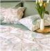 COMPLETO LETTO MASTRI COTONIERI 100%COTONE VERDE